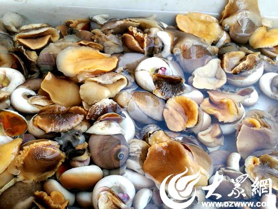 �糿7�cʯ���Ј��ĺ�΁ţ